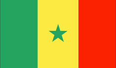 Senegal flag